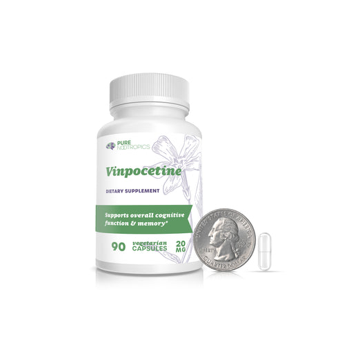 Vinpocetine Capsules